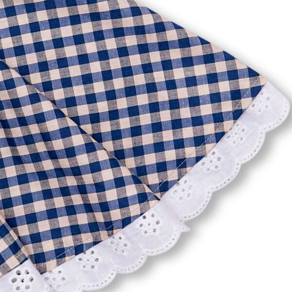 Pretty summer skirt in cotton blue color, checkered and embroidery for girl. Skirt of the fashion brand for children and teenagers LA FAUTE A VOLTAIRE.