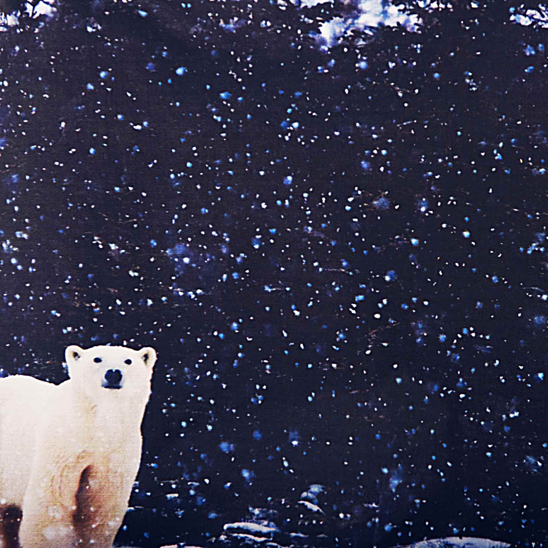 Une adorable jupe d'hiver en coton noire et bleu marine à l'imprimé ours polaire avec de la neige coupée en forme trapèze de la marque française pour enfants LA FAUTE A VOLTAIRE